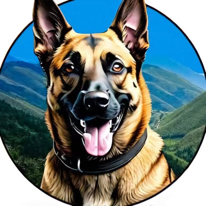 Bryant’s K9 Academy