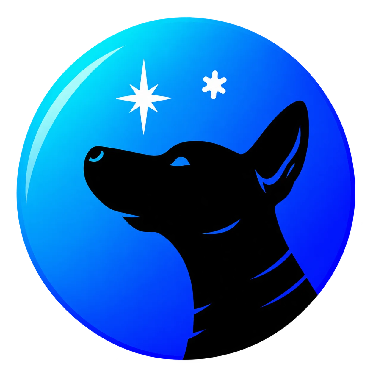 Beyond the Stars Dog Training