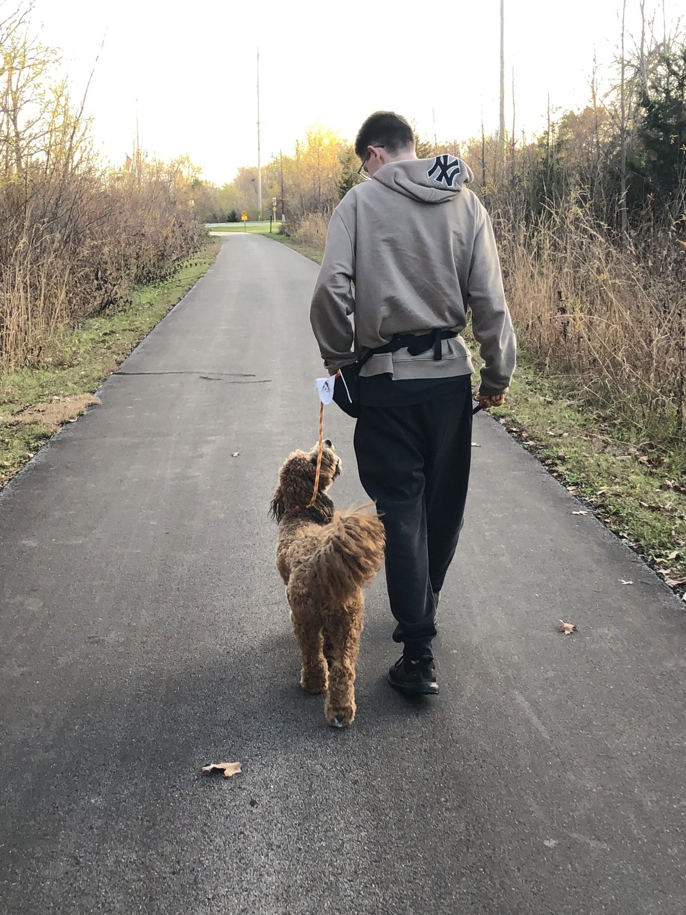 Kearney Dog Training LLC