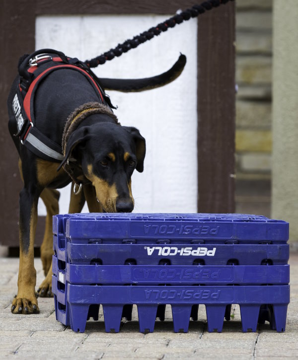 For Your K9, Inc