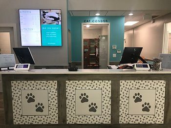 Pet Paradise Lake Norman