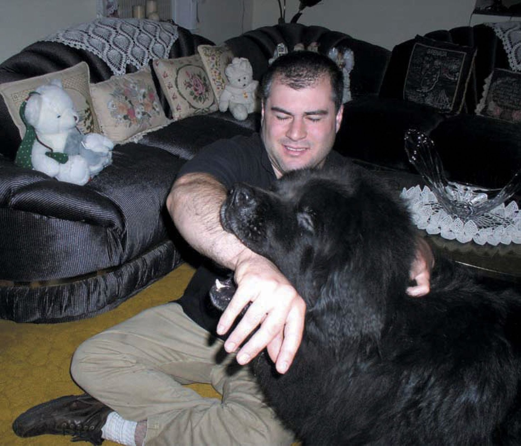 Alex Himel Certified Master Dog Trainer