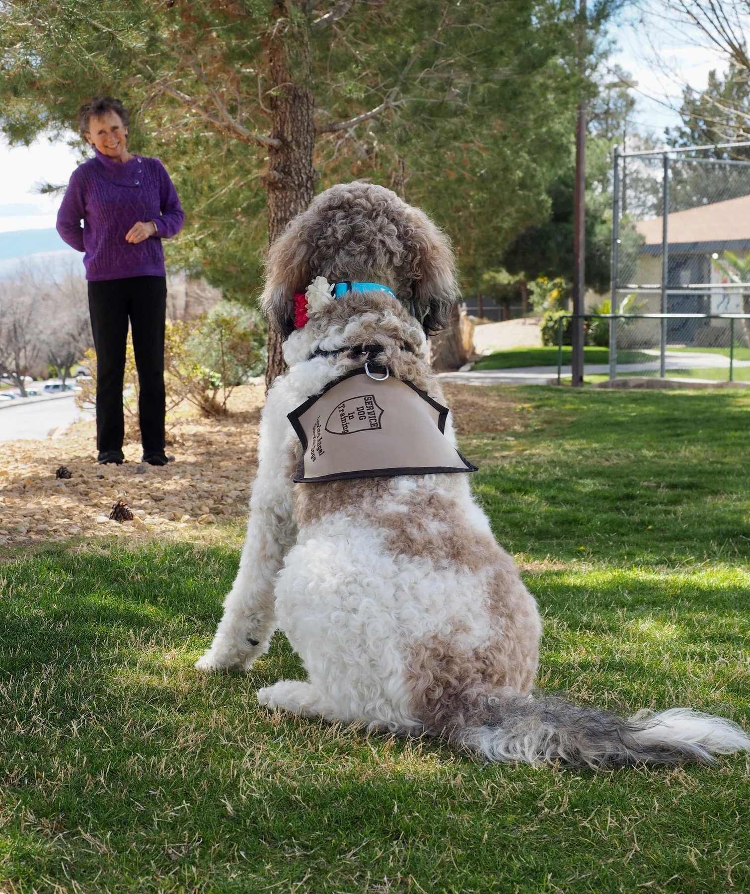 Loving Angel Service Dogs, Inc.