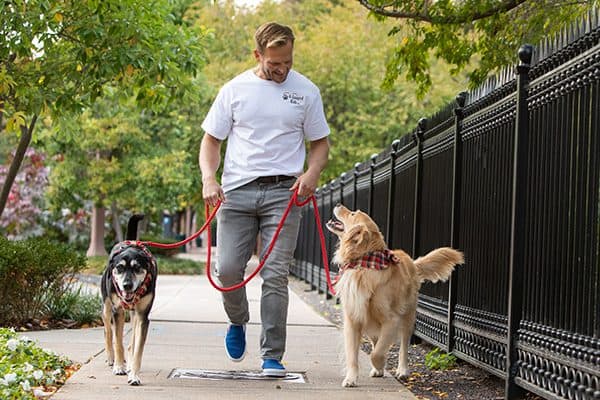 4-Legged Kids