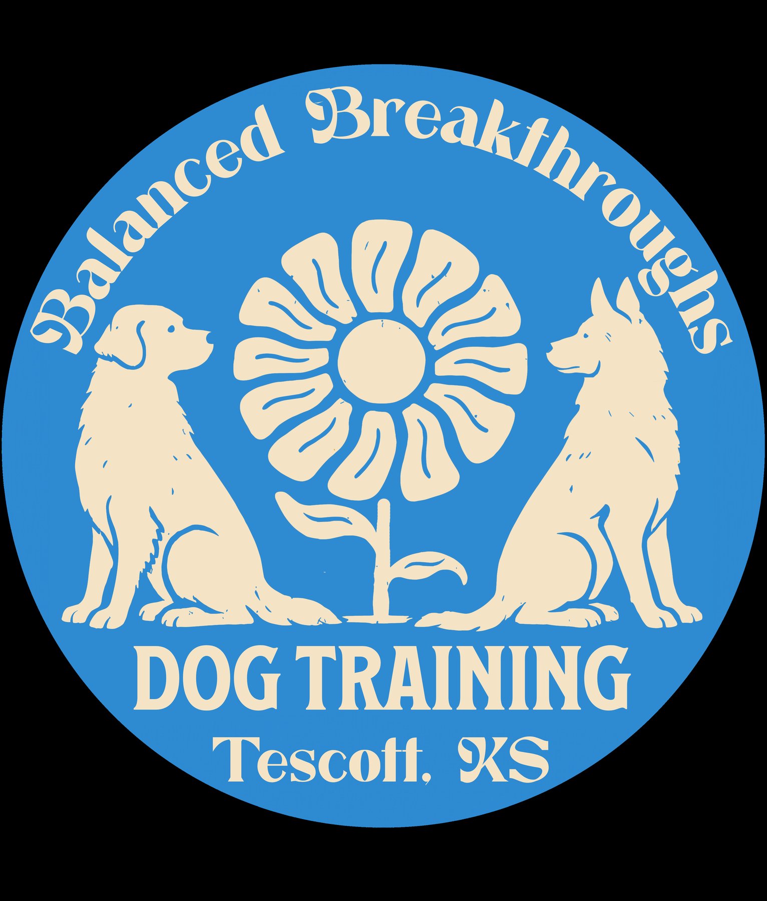 Balanced Breakthroughs Dog Training