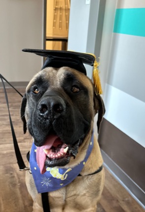PALS Dog Training LLC