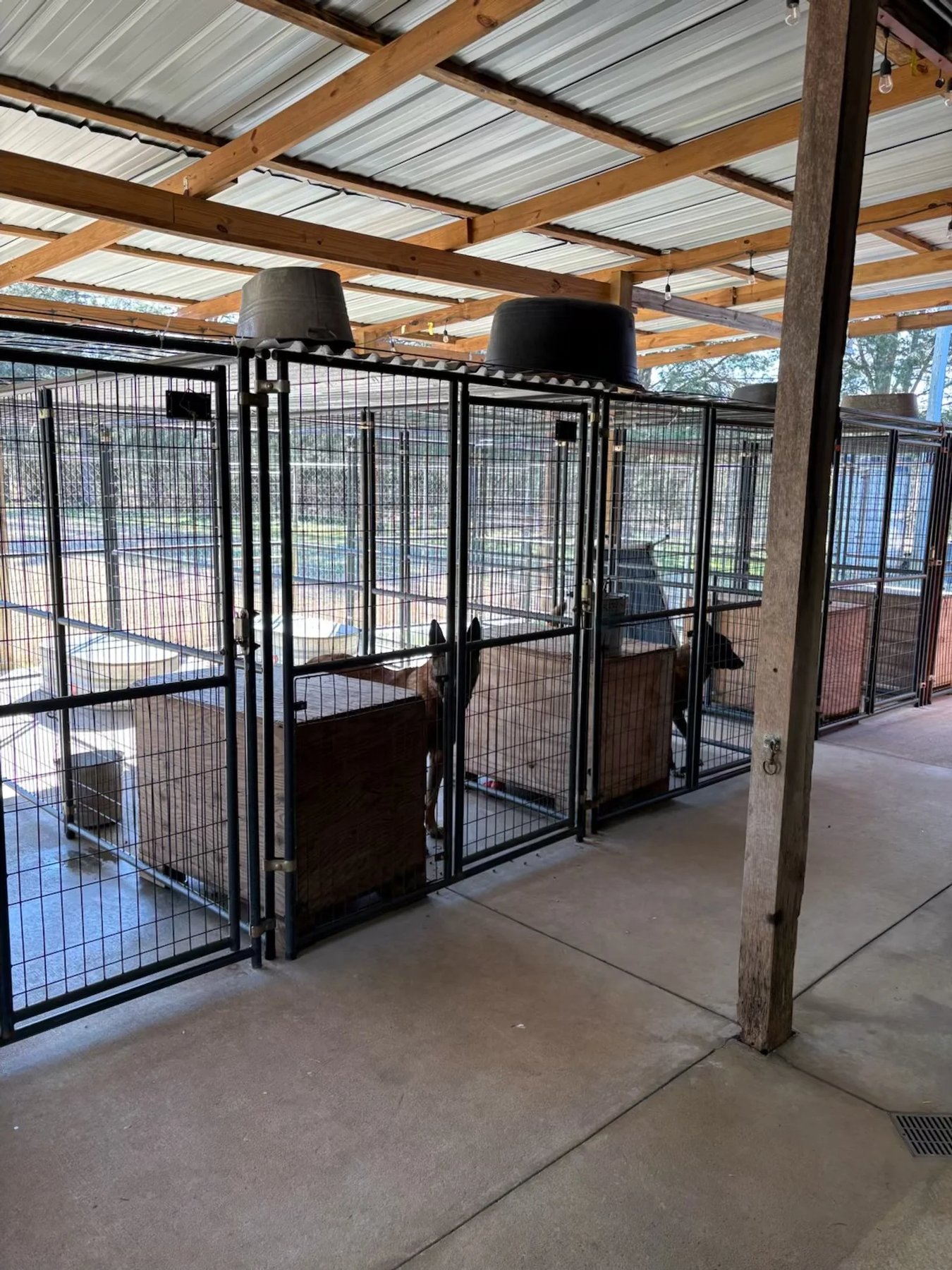 Kenco Farm and Kennels