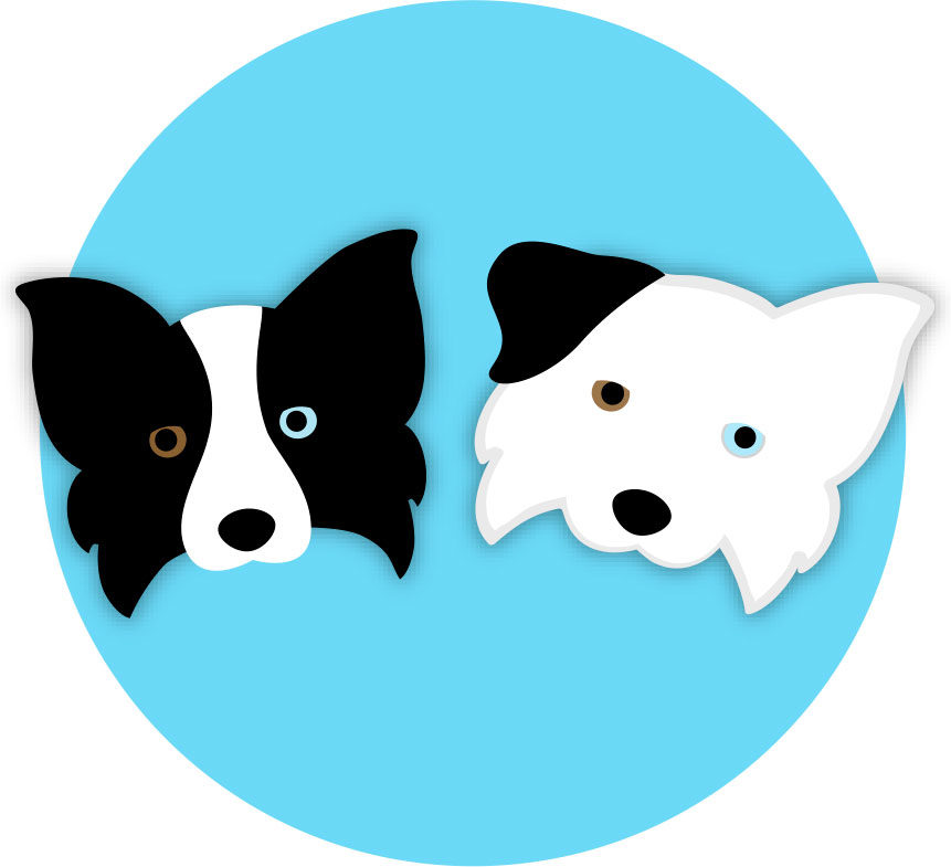 Quicksilver Canine logo