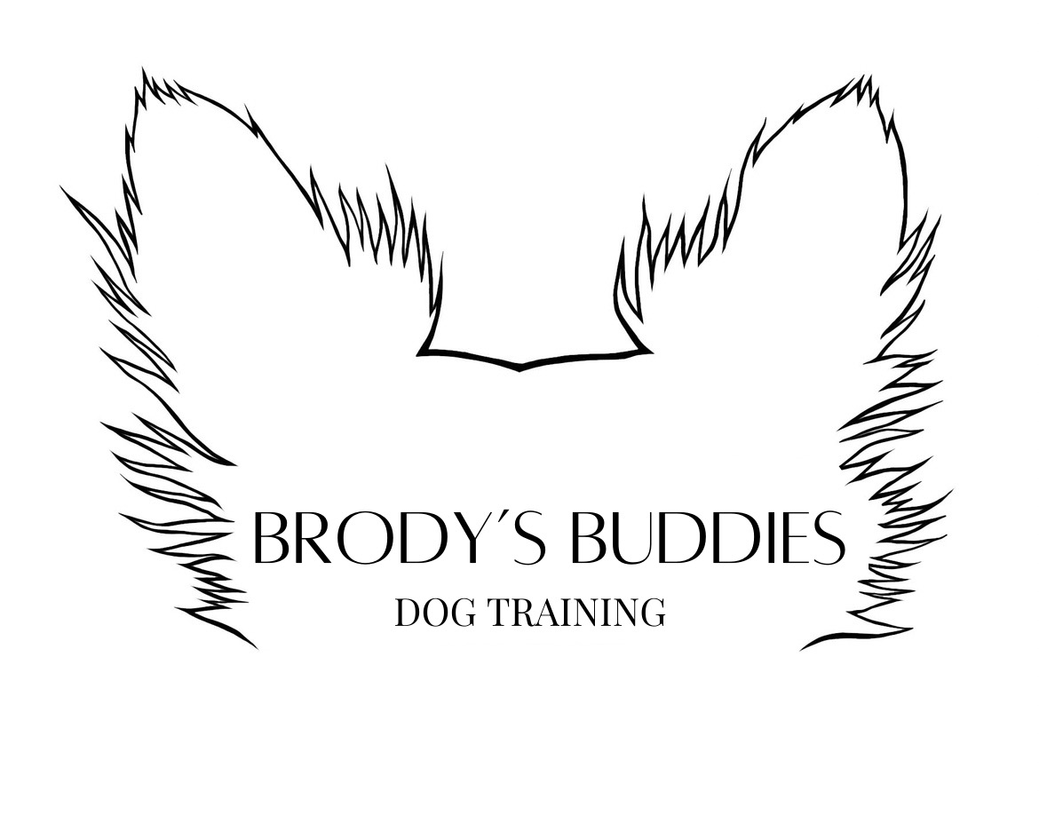 Brody’s Buddies MN