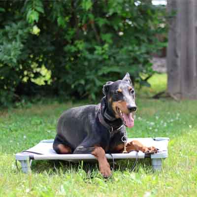 Freedom K9 LLC