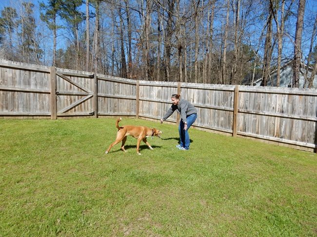 K&C Canine Life Skills LLC