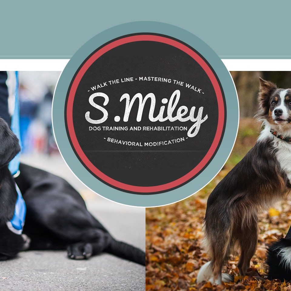 S. Miley Dog Training