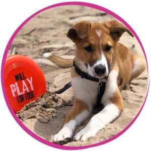 Connected K9s, LLC