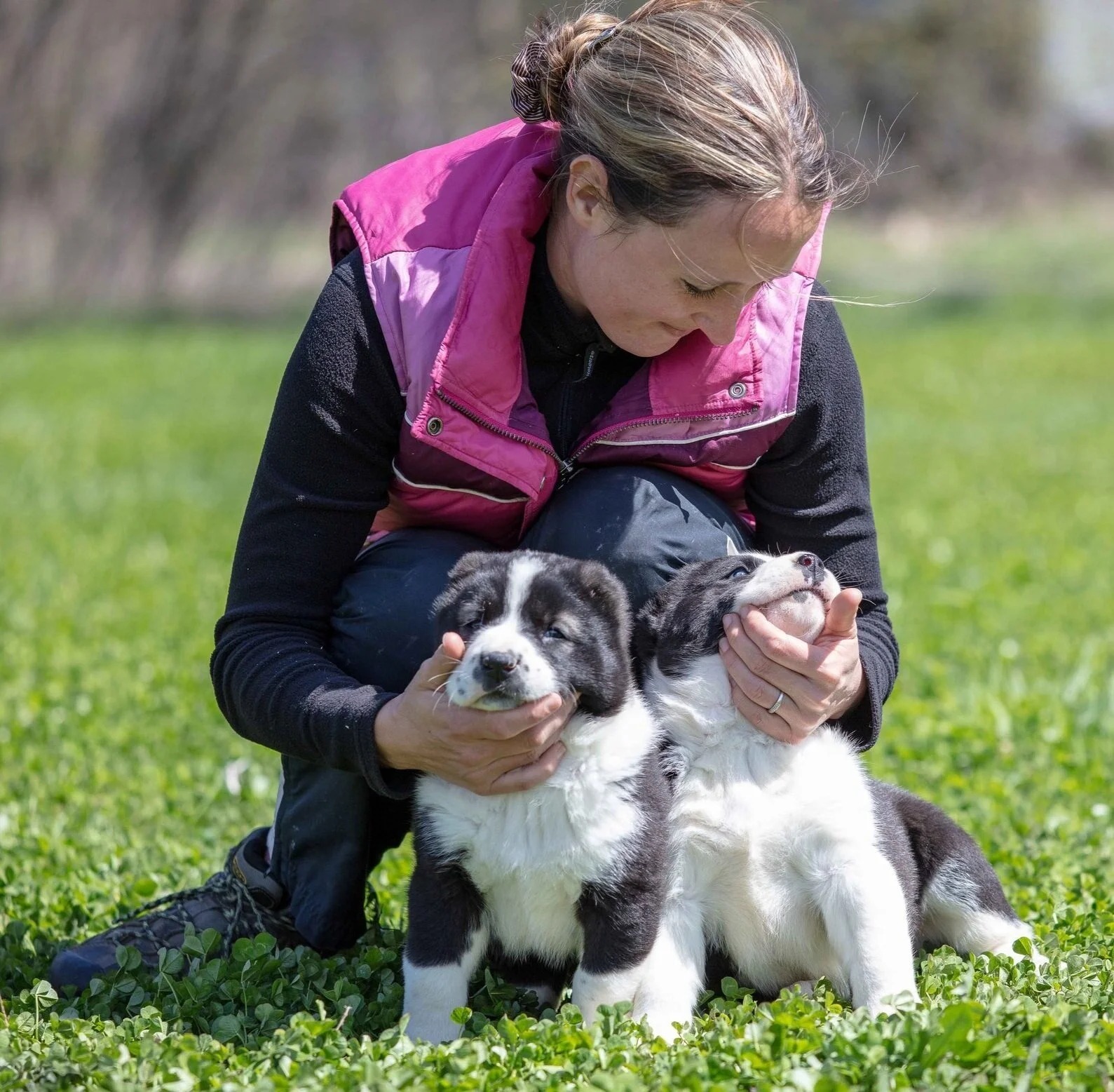 Certified Michigan Dog Trainer
