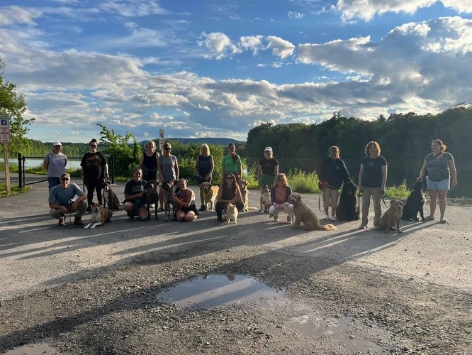 PAWS Canine Enrichment Center — dog trainer in Glens Falls, NY