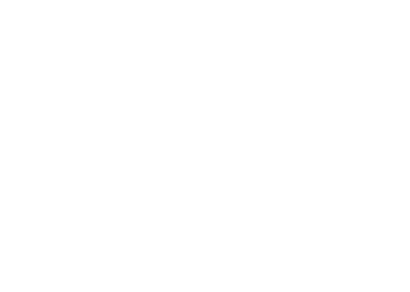 Animal Inn Training School logo