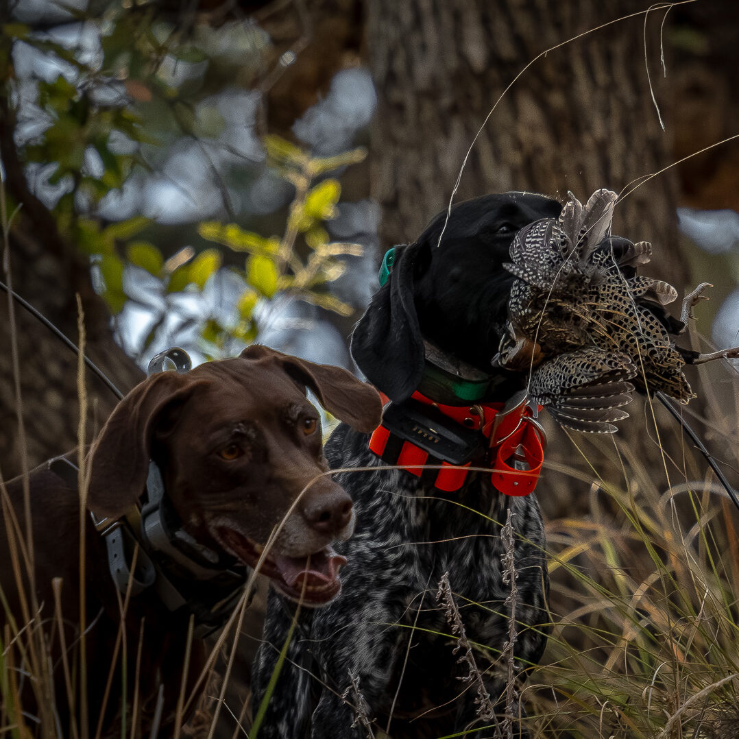 LunaRita Outfitters