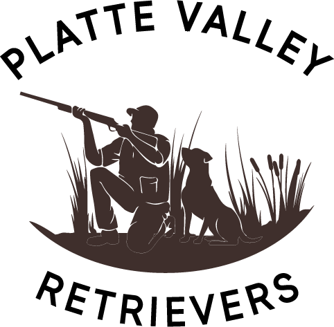 Platte Valley Retrievers