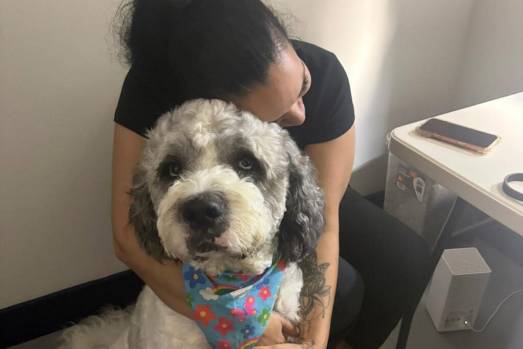 Fur Star Resort — dog trainer in Staten Island, NY