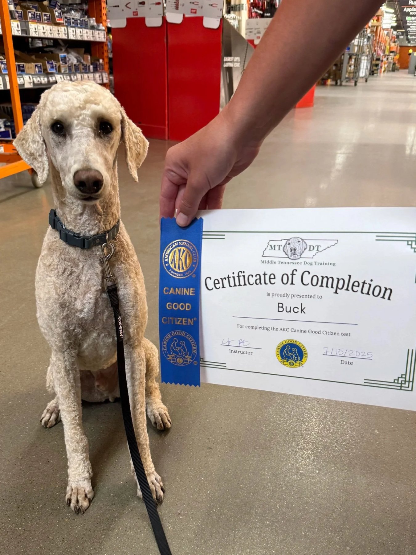Middle Tennessee Dog Training — dog trainer in Franklin, TN
