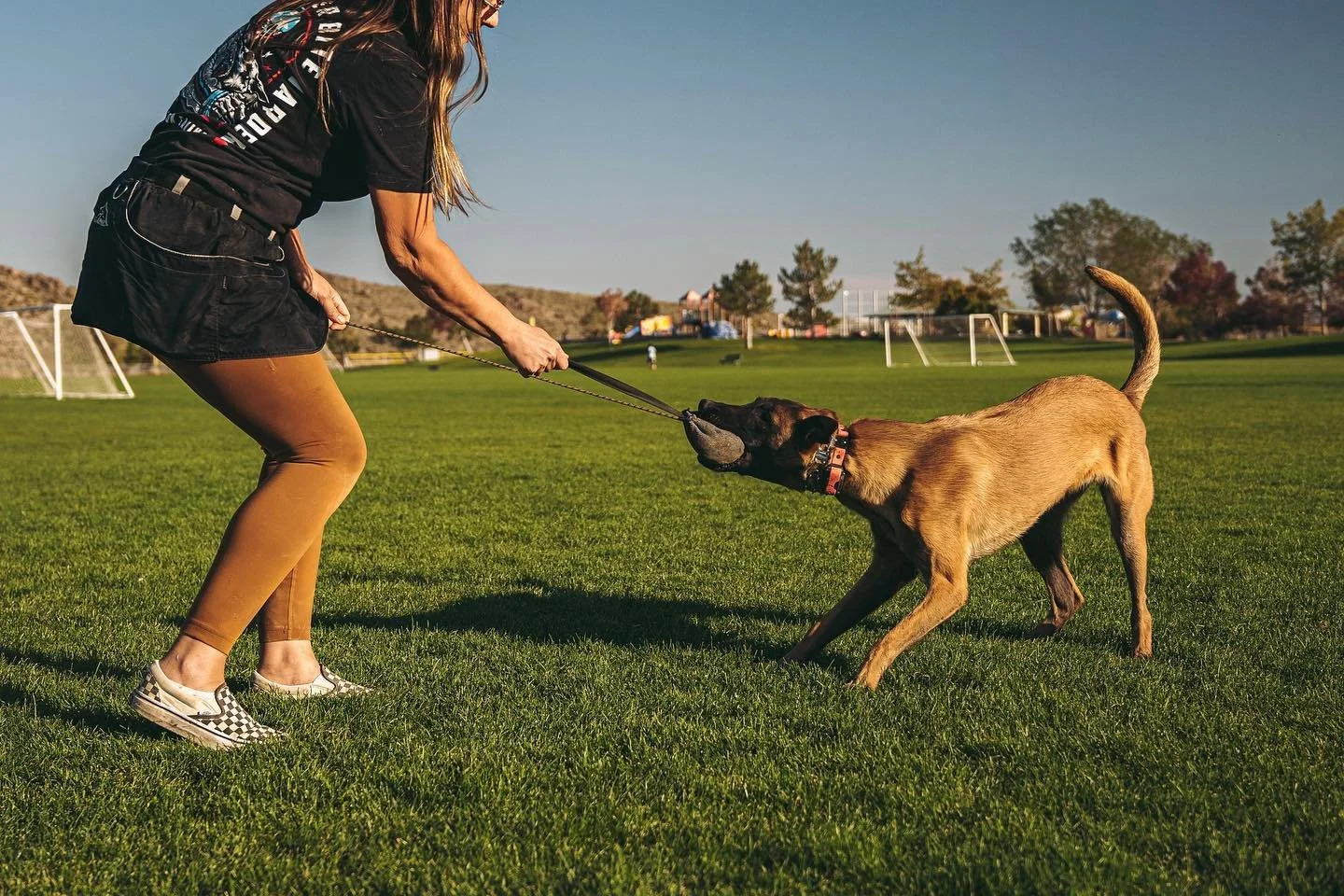 Reno Dogs
