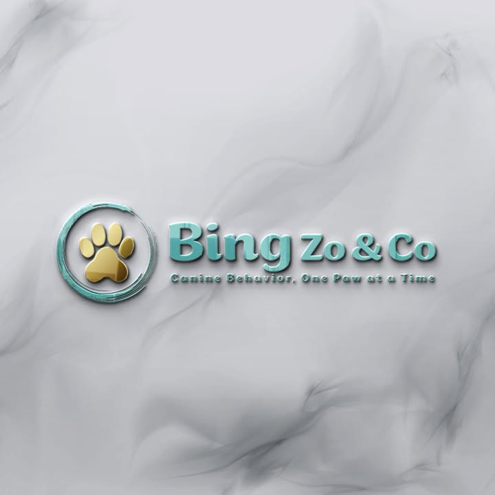 Bing, Zo & Co.