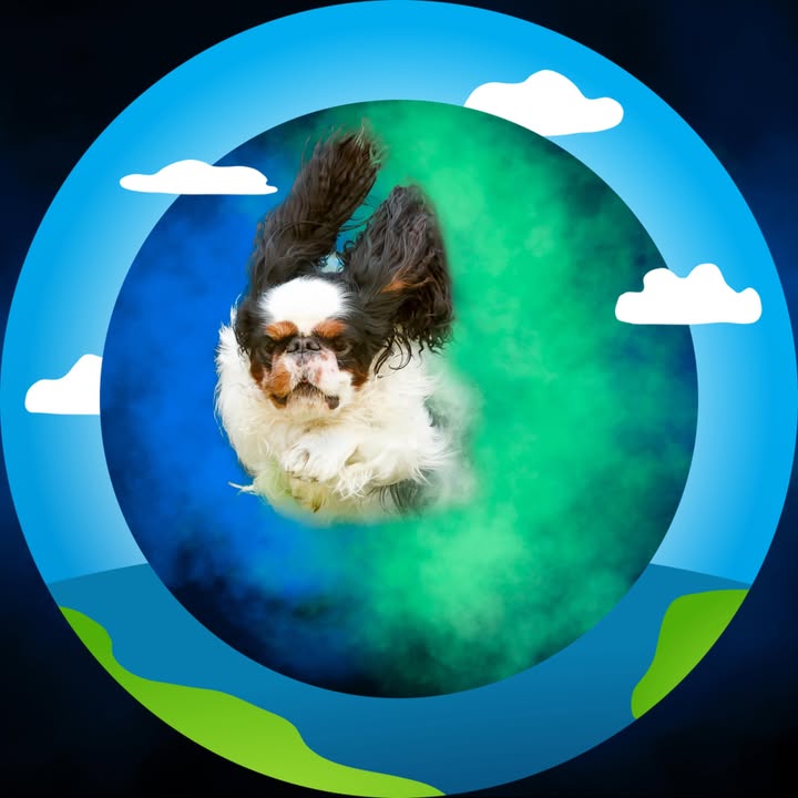 Reach the Sky Dog Training