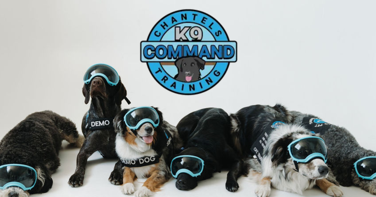CKC Training