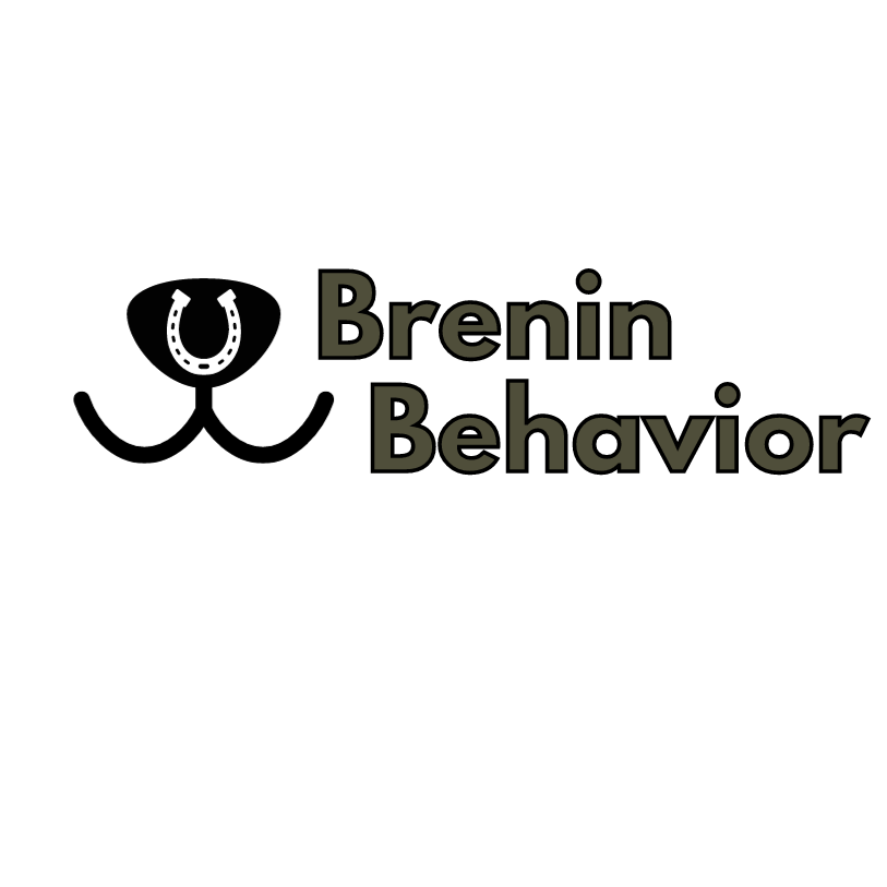 Brenin Behavior logo