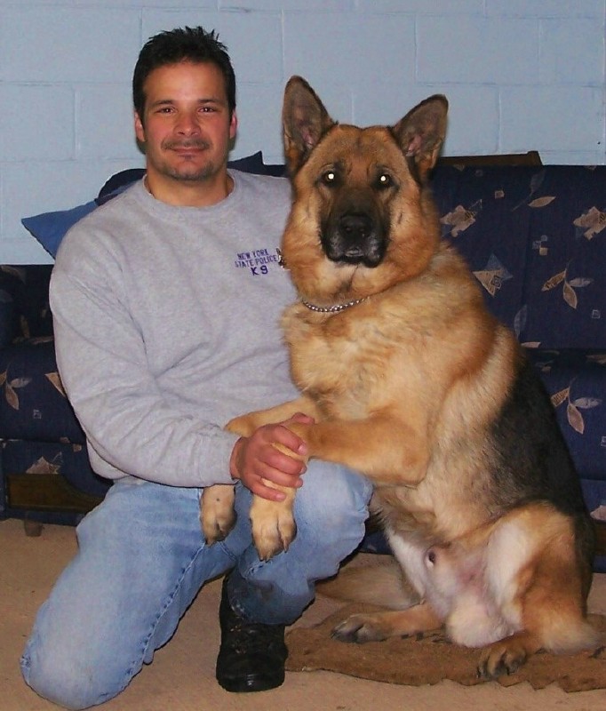 K-9 Services Unlimited — dog trainer in Utica & Rome (Mohawk Valley), NY