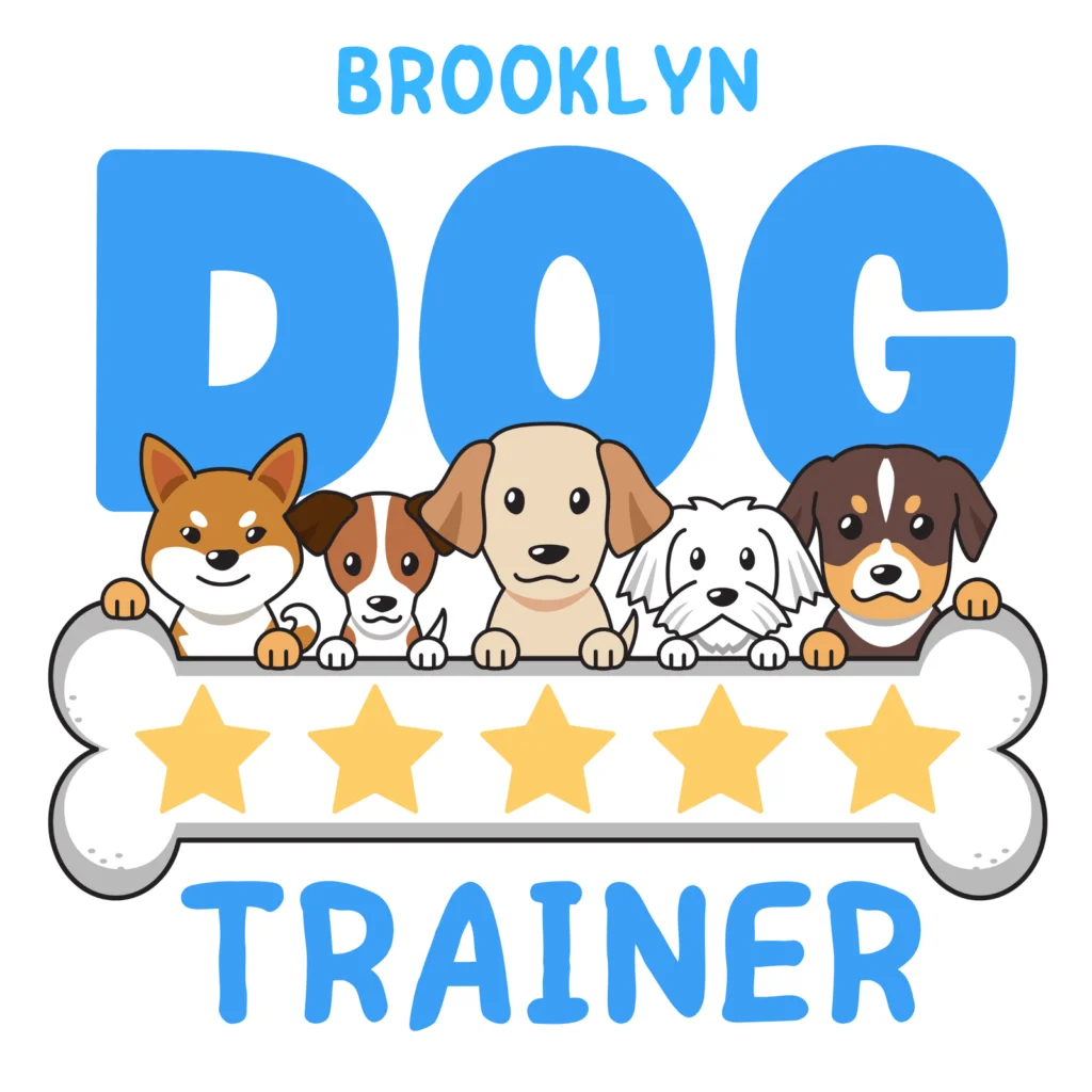 Brooklyn Dog Trainer — dog trainer in Boulder, CO