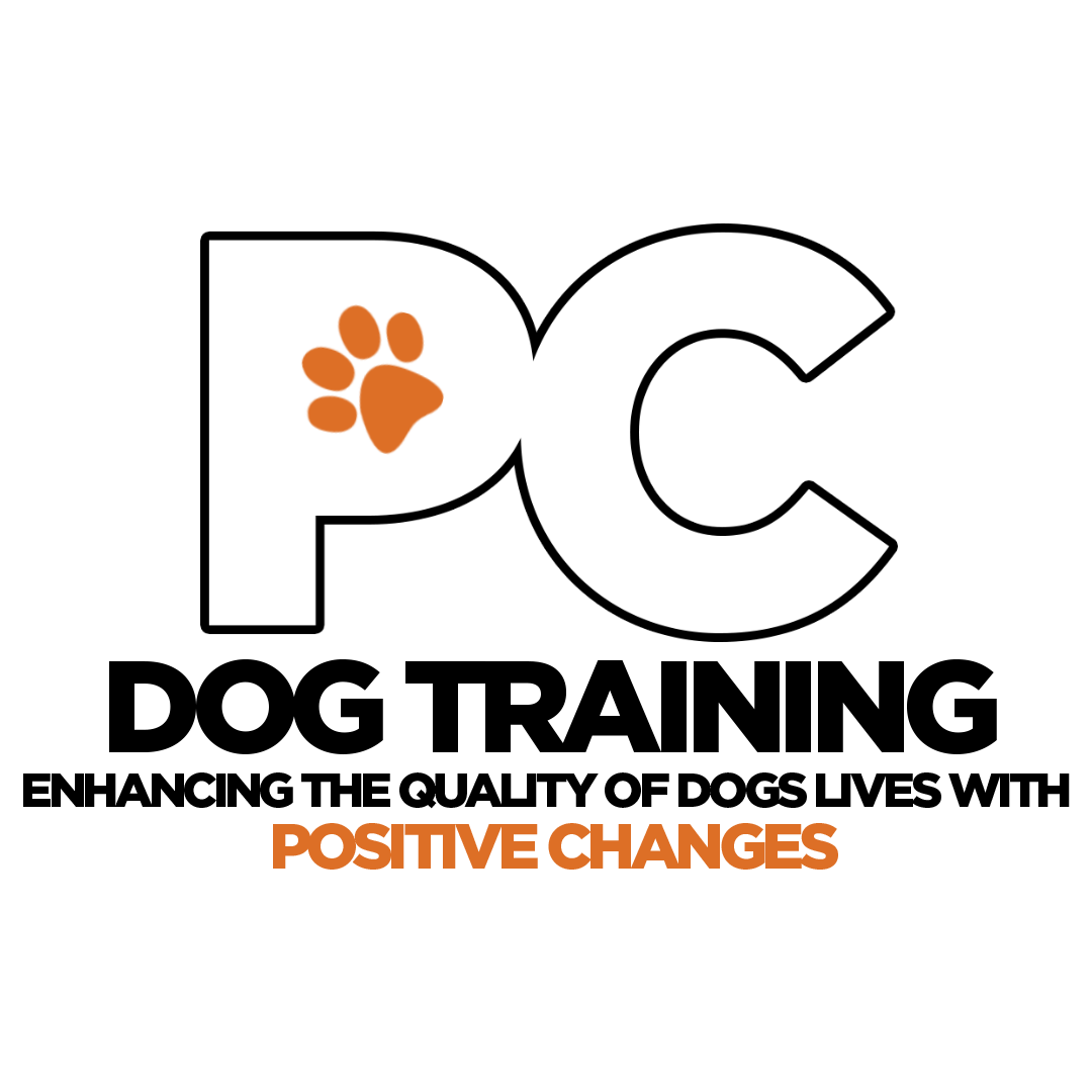 Positive Changes Dog Training logo