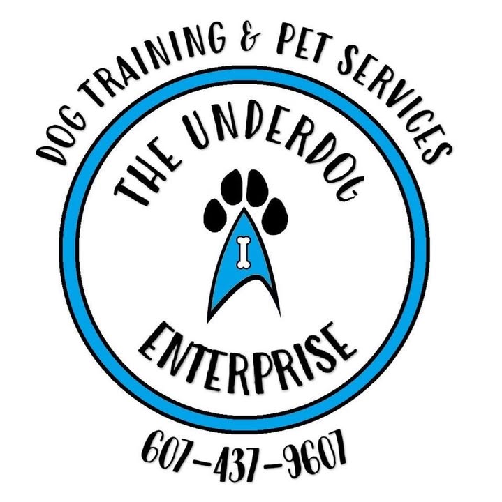 The Underdog Enterprise logo