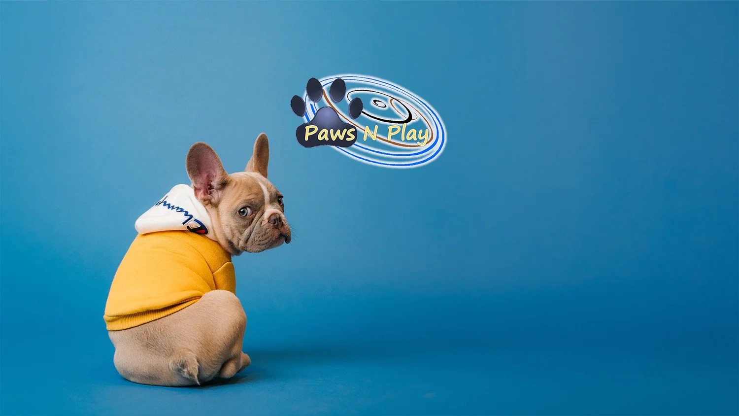 Paws N Play