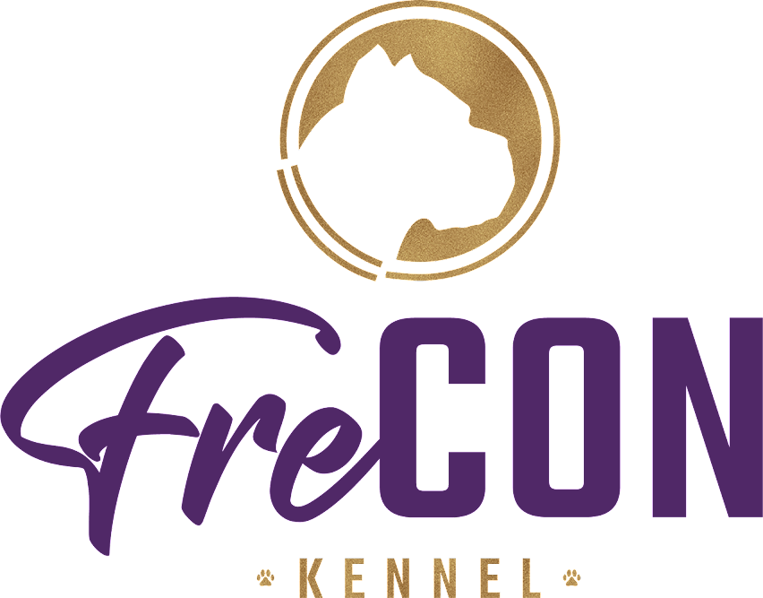FreCon Cane Corso Kennels