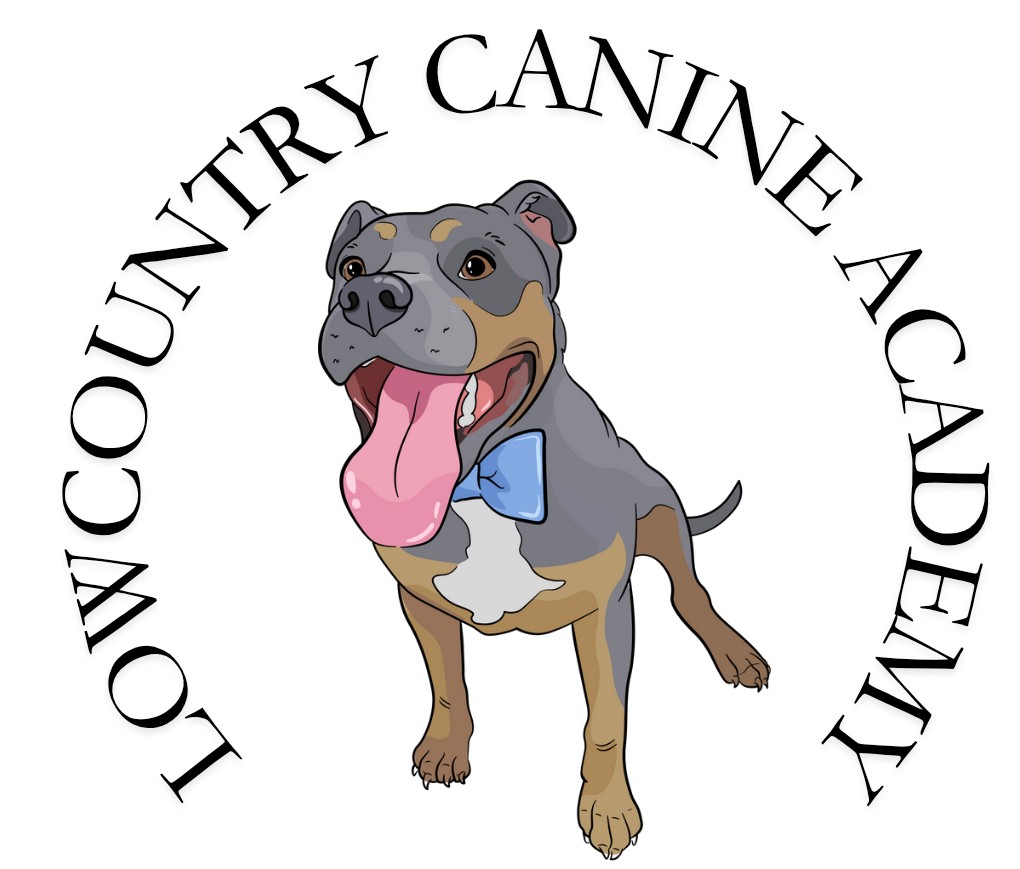 Lowcountry Canine Academy logo