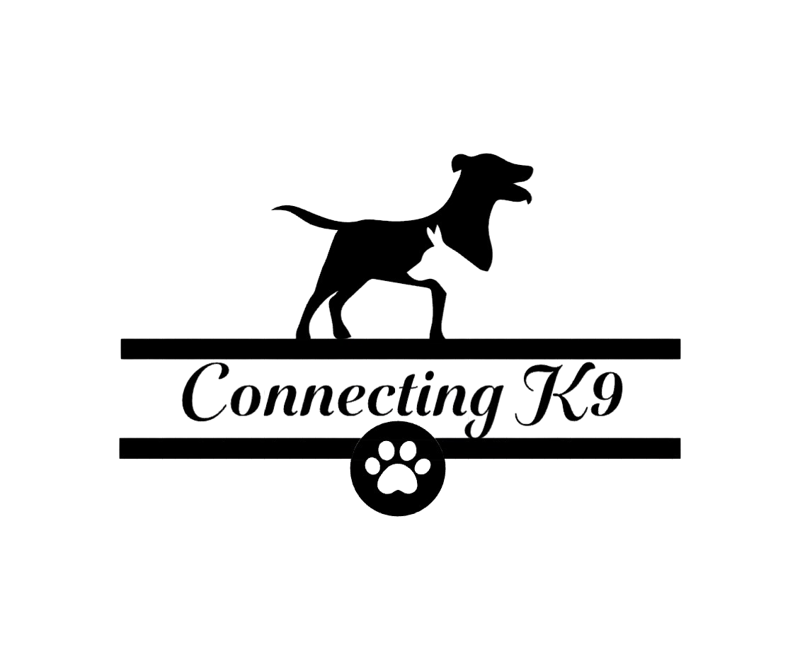 Connecting K9
