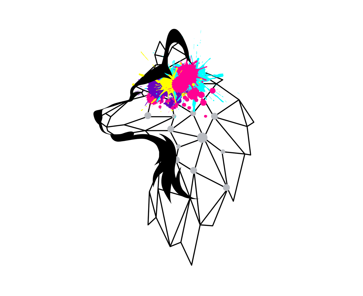 Canine Decoded