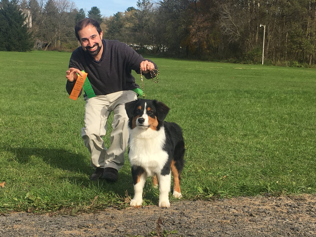 Trainer Dan