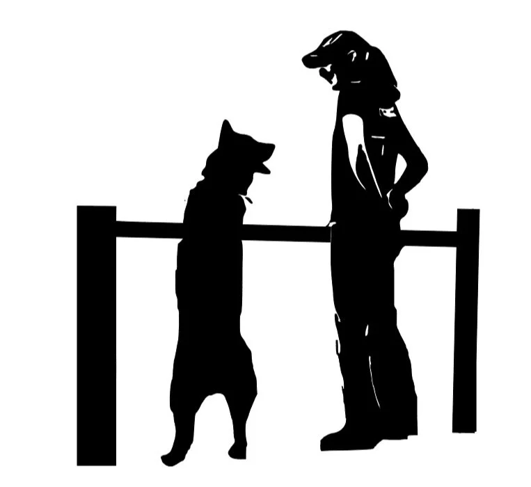 Training by Jen logo