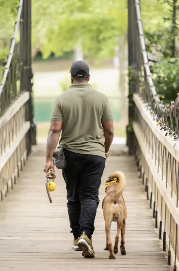 Merritt Dog Training