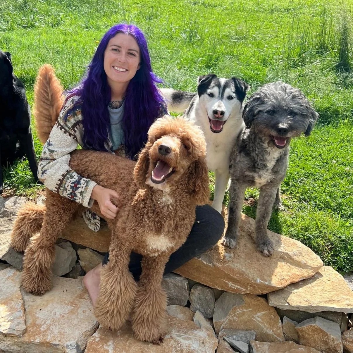 Canis Major Dog Training