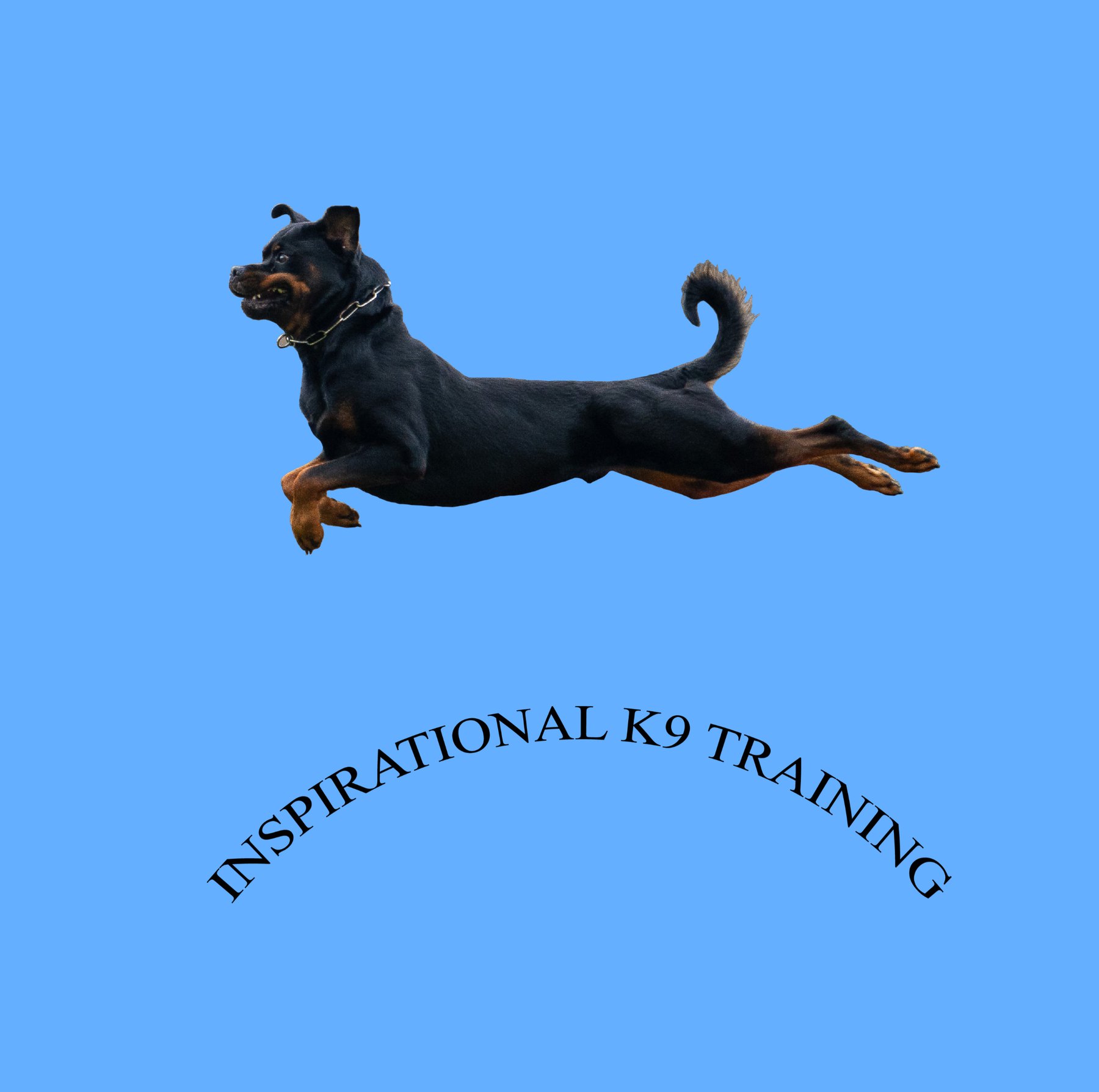 Inspirational K9 Training