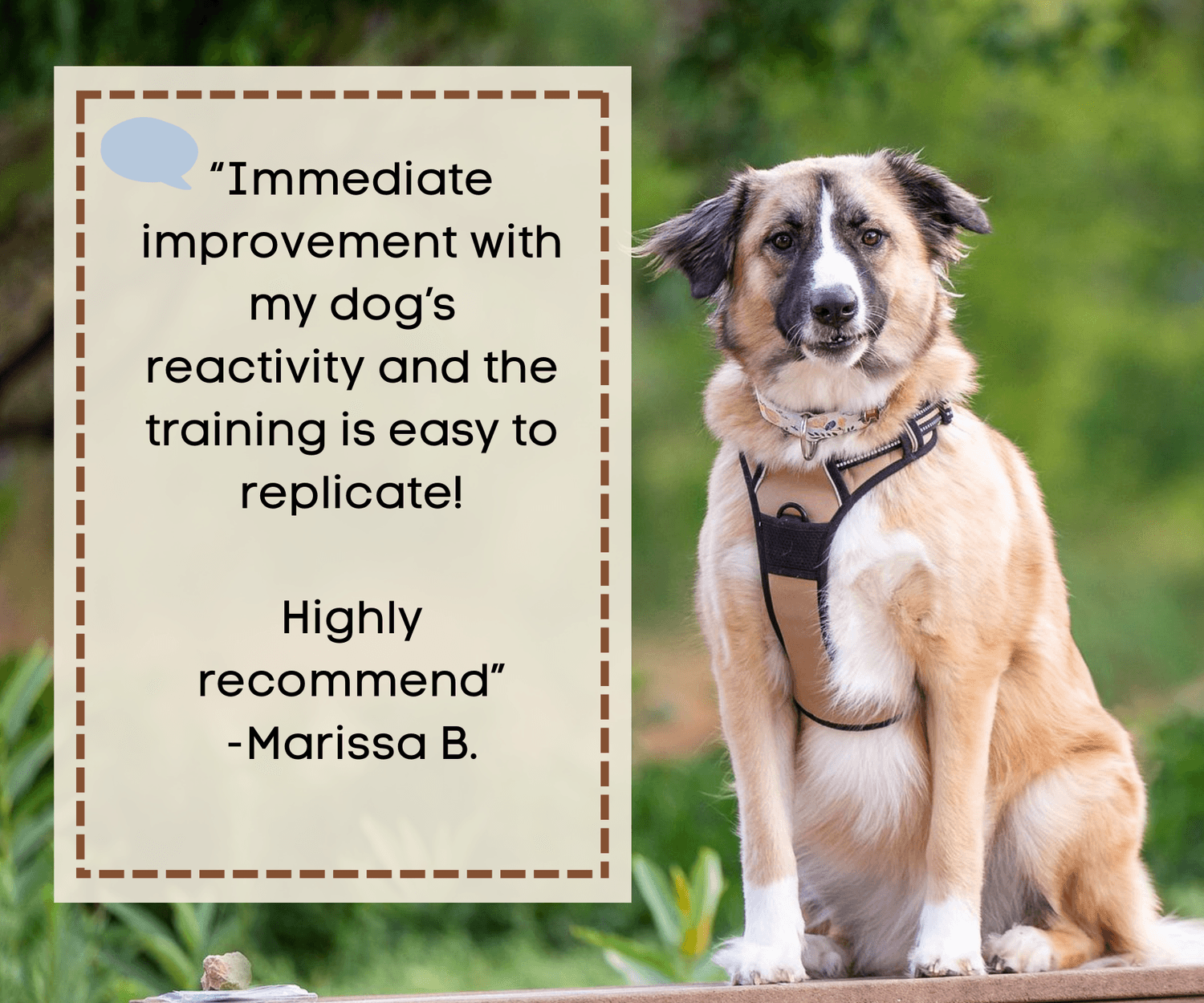 Dog Magic LLC
