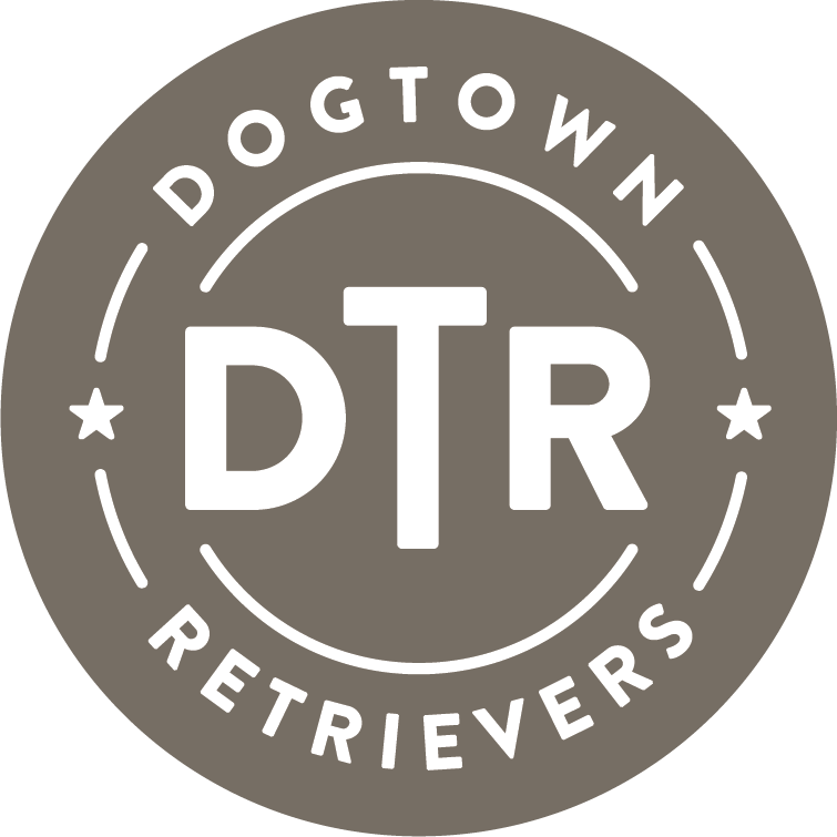 DogTown Retrievers logo