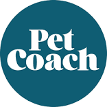 In Home Dog Training