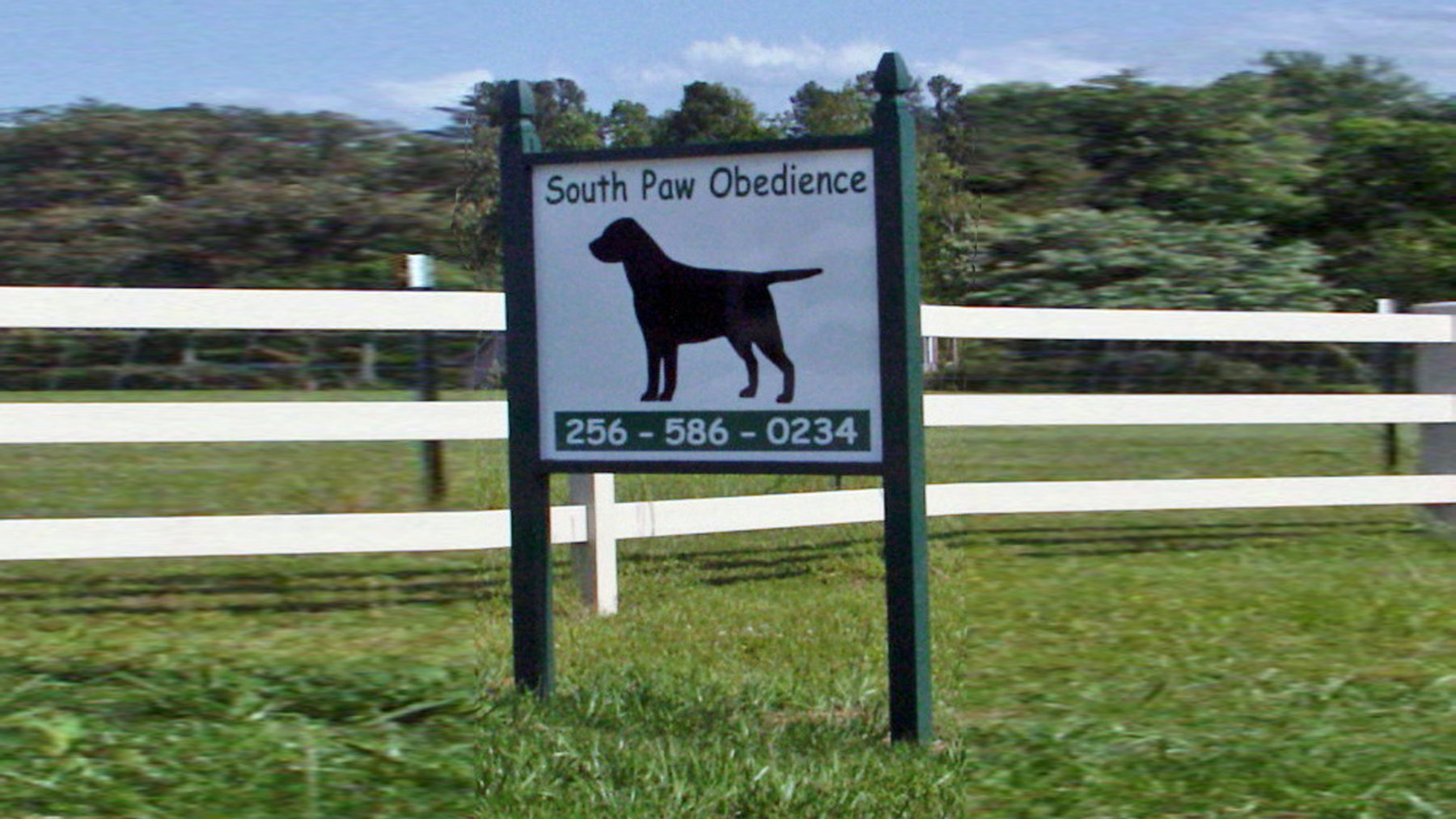 South Paw Obedience Training