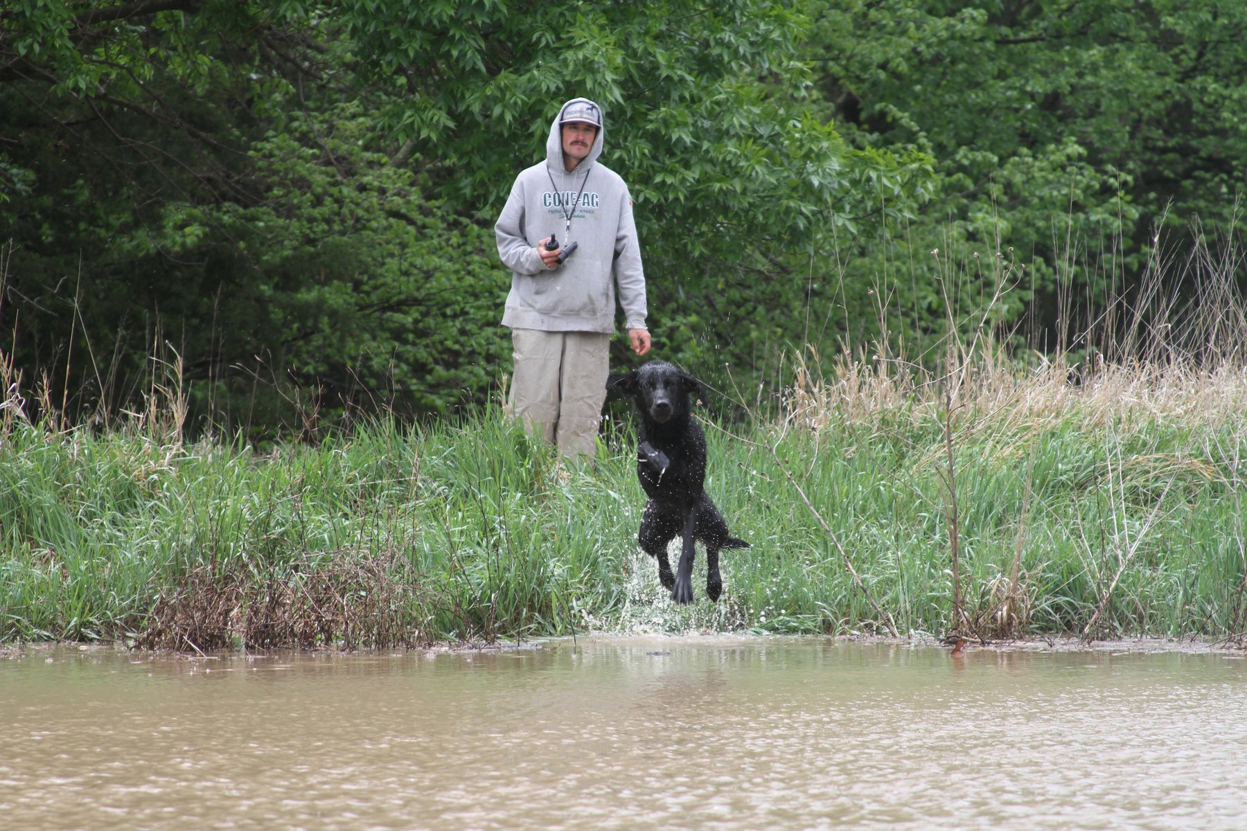 Flying C Kennels