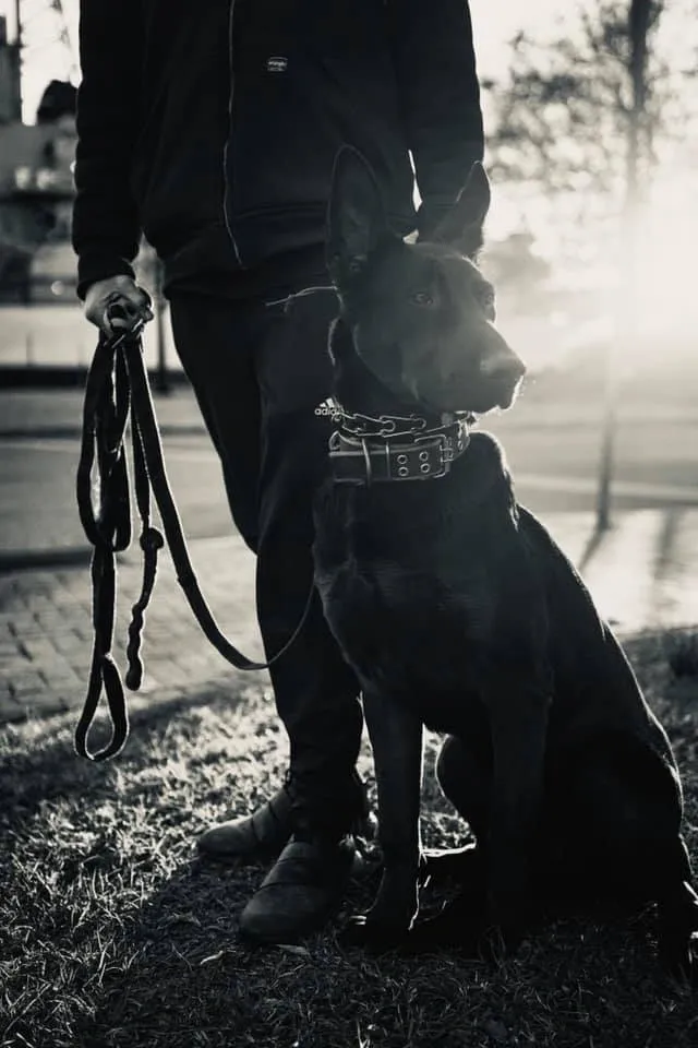 Hi-Tide K9, LLC.