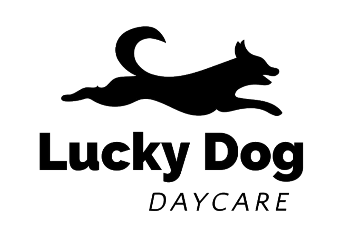 Lucky Dog Daycare
